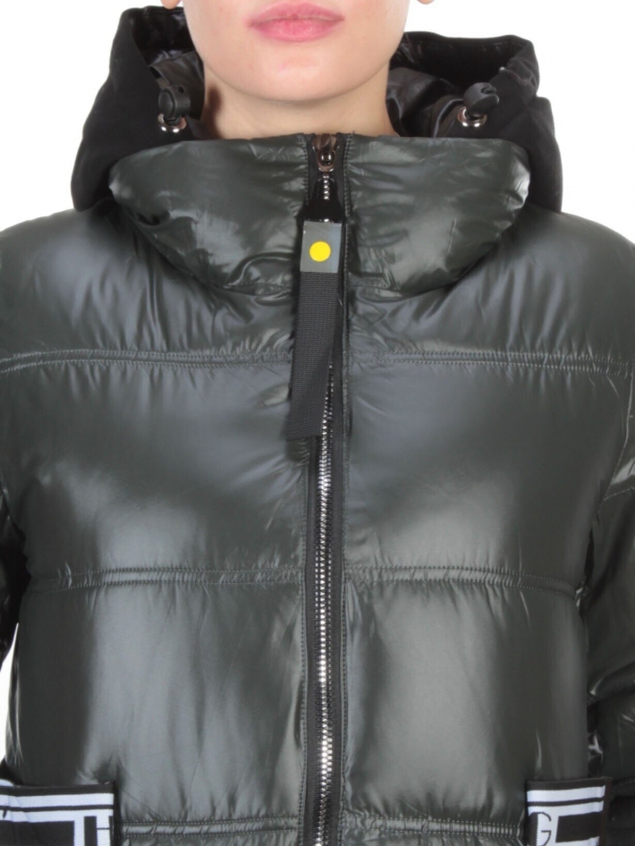 Куртка зимняя женская AIKESDFRS (200 гр. холлофайбера) H8FPA2