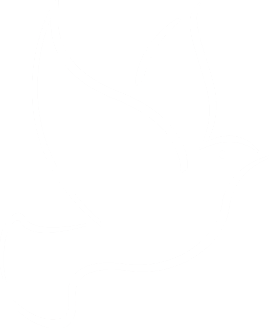 logo1-1